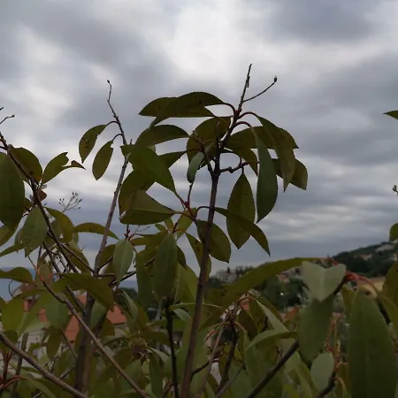 Pobri Appartamento